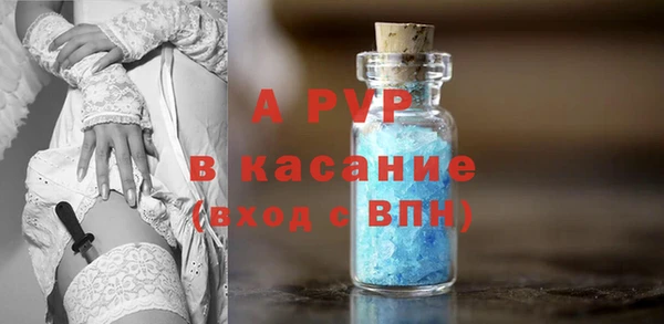 стаф Аркадак