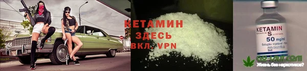 сатива Арсеньев