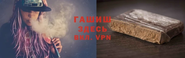 стаф Аркадак