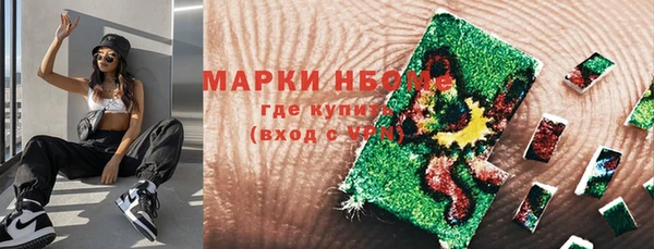 стаф Аркадак