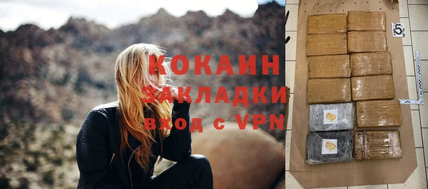 стаф Аркадак