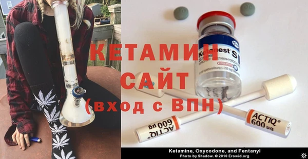стаф Аркадак